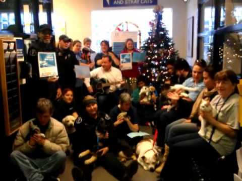 Charlotte Mecklenburg Animal Care & Control with Subaru Share the Love on the 12 Days of Christmas