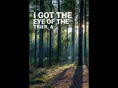 Roar song - lyrical video || #shorts #youtubeshorts #ytshorts