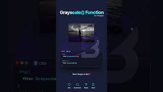 css filter | css mini project | css project | css #codelife #coding #html5 #webdesign