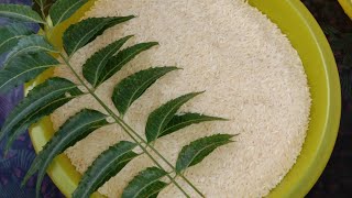 #Shorts 15 videos | Rice Storing Tips | Cooking tips | Magi Samayal