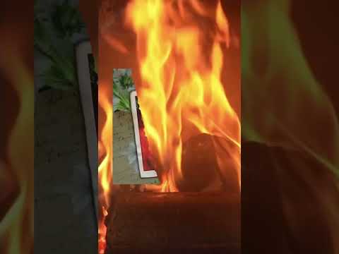 Iconic Man You Were Meant To Be Cover