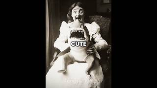 Animals That Look Cute But Can Kill You Part 7