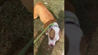 Yes that life all about positivity.  Goodtymz Programming.   Share our stuff. Let’s make it better