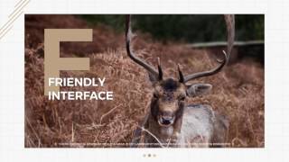 Modern Slides | After Effects Template