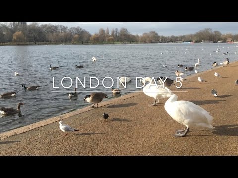 London Day 5: Mae deli, hyde park, tate, best coffee place & best vegetarian restaurant of London!