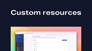 Custom resources in Metafields Manager