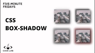 Learn CSS Box-Shadow in five minutes | CSS Tutorial | Five-Minute Fridays
