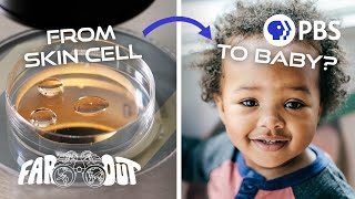 How to Turn Skin Cells Into a Baby