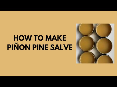 How to Make Piñon Pine Salve