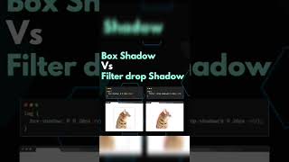 box shadow vs filter drop shadow  #css #advance #img #web #devloper