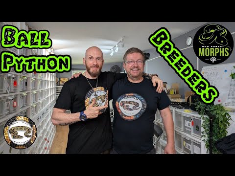 Ball Python Breeders Spotlight Series. New Forest Morphs.
