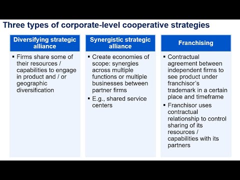 Business Strategy 11 - Cooperative Strategy