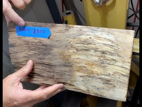 Dumpster Dive Gets Me A Beechy Treasure | Spalted Beech Woodturning