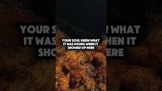 Your Awakening Is Right on Time - #shorts #divinetiming #soulawakening