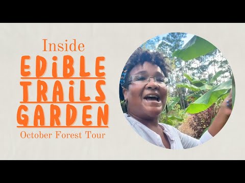 Our FIRST Food Forest Garden Tour | Edible Trails Garden
