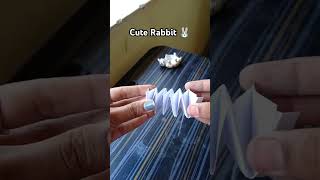 Cute rabbit 🐇@srutibehera891 #craft #papercrafts #ideas #paperrabbit #trending #tradingshorts :)