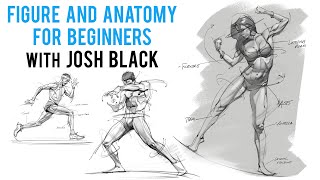 Figure and Anatomy Tips with Josh Black