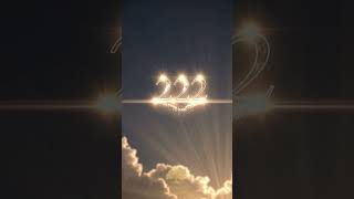 222 Angel Number Meaning // A Message of Trust & Divine Timing #DivineTiming #SpiritualGuidance