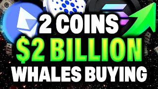 Crypto Whales Buying Altcoins + Bitcoin, Solana Ethereum & Cardano Updates
