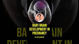 Brain development in 9 months of pregnancy #pregnancycomplications #pregnancytips