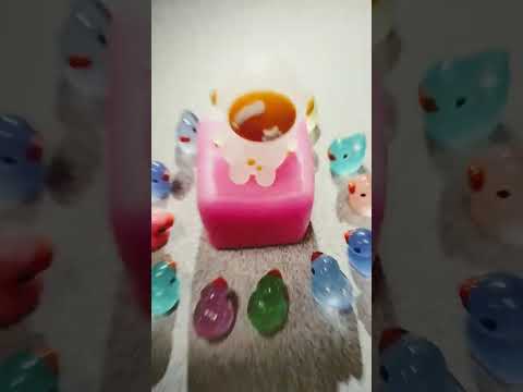 WE HAVE CREATED A DUCK CULT!!!