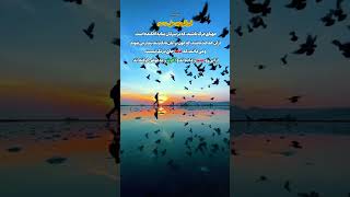 🎬 آوای اندیشه📝 آماده شدن براى مرگ... خطبه64 #نهج_البلاغه#امیرالمومنین#کتاب_خوانی