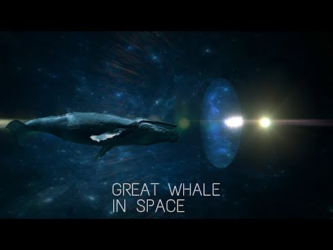 GREAT WHITE WHALE FLOATING IN SPACE #shorts