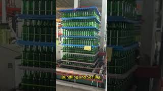 🍺 Valiant Glass Bottles: Unveiling Efficient Packaging Solutions for Beer Bottles 🍺