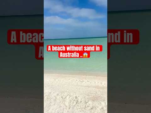 A beach without sand in Australia 🇦🇺 #beaches #australia #shorts #shortsfeed