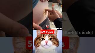 Prank Aura 🗿 #shortfeed #funny #memes #cat #lol #duet