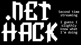 .NET Hack dev stream 2 - I guess I slightly know what I'm doing