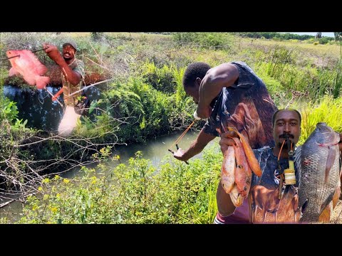 Slingshot Spearfishing along the Grassy Water Stream
