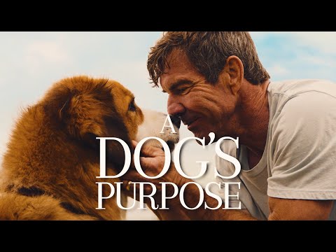 A Dog's Purpose