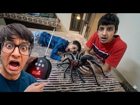 Fake Spider Prank 😱 Kunali Dar Gaya 🤯
