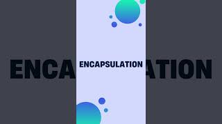 The Secret Sauce to Becoming a Programming Pro