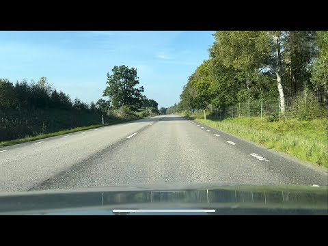Peaceful Ambient Drive On the Country Road
