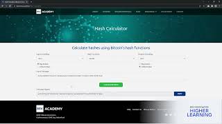 SHA 256 GoLang Implementation - Value Construction and Output