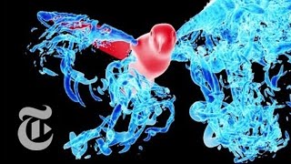 The Best Fluid Dynamics Physics Videos of 2015 | ScienceTake | The New York Times