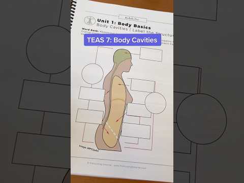 What's in the dorsal cavity?