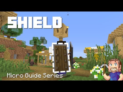 Shield - Minecraft Micro Guide