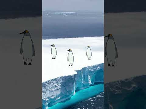 Cha Cha Real Smooth Penguinz