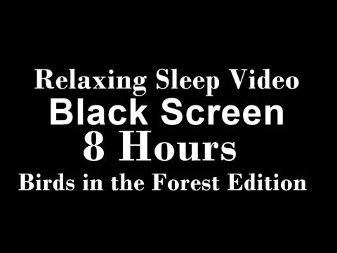 Relaxing Sleep Video Black Screen 8 Hours Birds in the Forest Edition