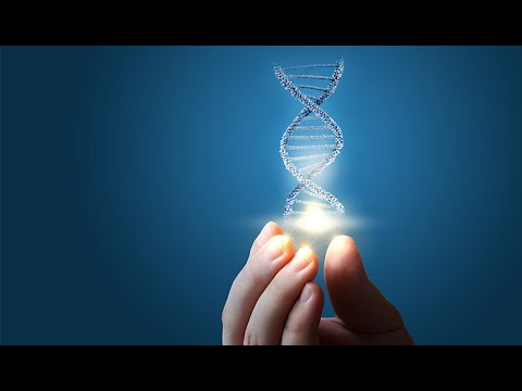 Origin of Life | Full Documentary