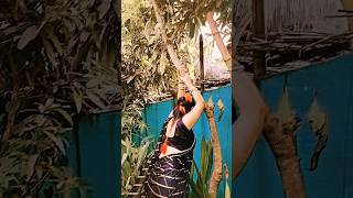 Relation - Nikk Ft Mahira Sharma #viral #shortsfeed  #youtubeshorts