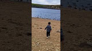 So many birds 🐦 🐦‍⬛ #tiktok #nature #naturecomedy #comedyvideos #birds #naturebaby #birdscomedy #uk
