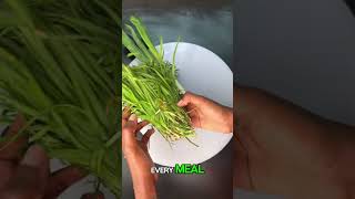 Kimchi Korea #Kimchi #KoreanFood #Superfood #FoodShorts #WorldCuisine #Foodie #KFood #GlobalEats