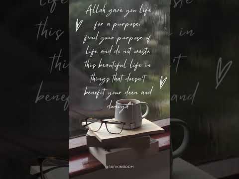 Islamic purpose of life | Be productive Muslim Islamic Motivation #purposeoflife #Islamicstatus