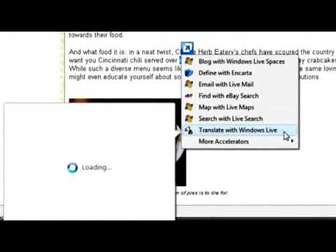 How To: Internet Explorer 8 Web Accelerators