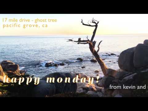 Ghost Tree on the 17 mile Drive