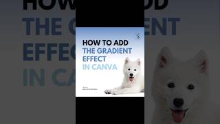 How to edit Gradient effect in Canva